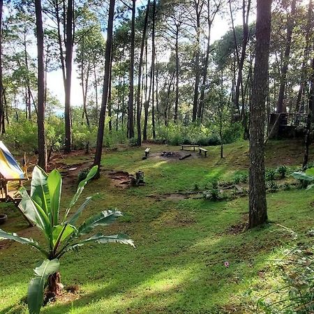 Cabana Rustica A 1Km De Cascada Mazamitla Extérieur photo