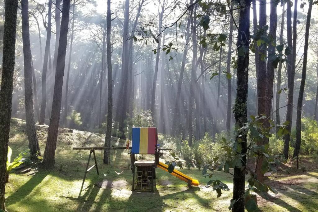 Cabana Rustica A 1Km De Cascada Mazamitla Extérieur photo