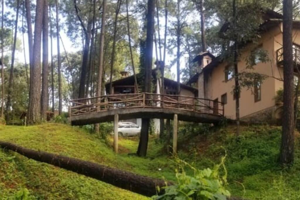 Cabana Rustica A 1Km De Cascada Mazamitla Extérieur photo